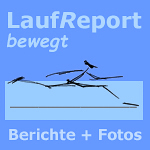 laufreport